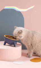 Cat & Dog Pet Bowl With Stand