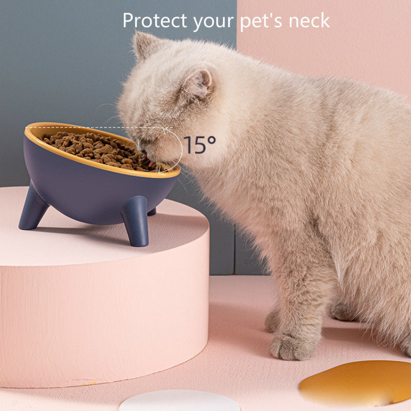 Cat & Dog Pet Bowl With Stand