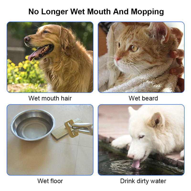 1.5L Cat & Dog Water Bowl Anti-Overflow  Pet Fountain