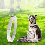Pet Anti-Mosquito Collar Cat & Dog Adjustable Insect Repellent Collar