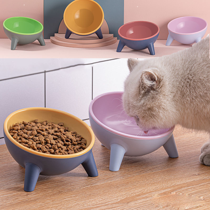 Cat & Dog Pet Bowl With Stand