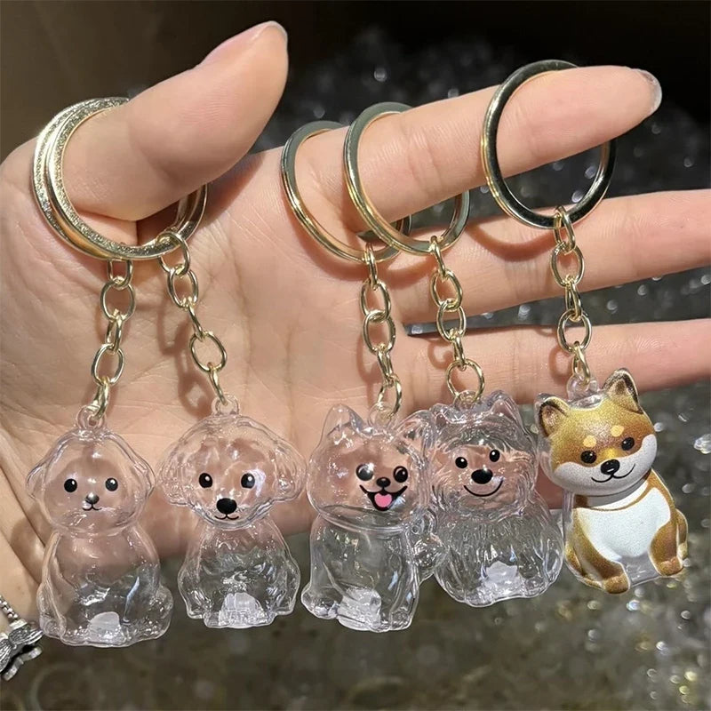 Clear Pet Fur DIY Keepsake Capsule Pendant Keychain