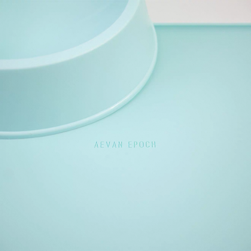 Aevan Epoch Premium Silicone Pet Feeding Mat
