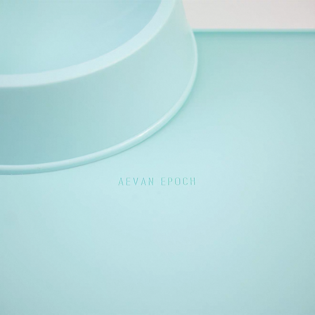 Aevan Epoch Premium Silicone Pet Feeding Mat