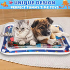 Inflatable Ocean Themed Water Sensory Pet Play Activity Mat