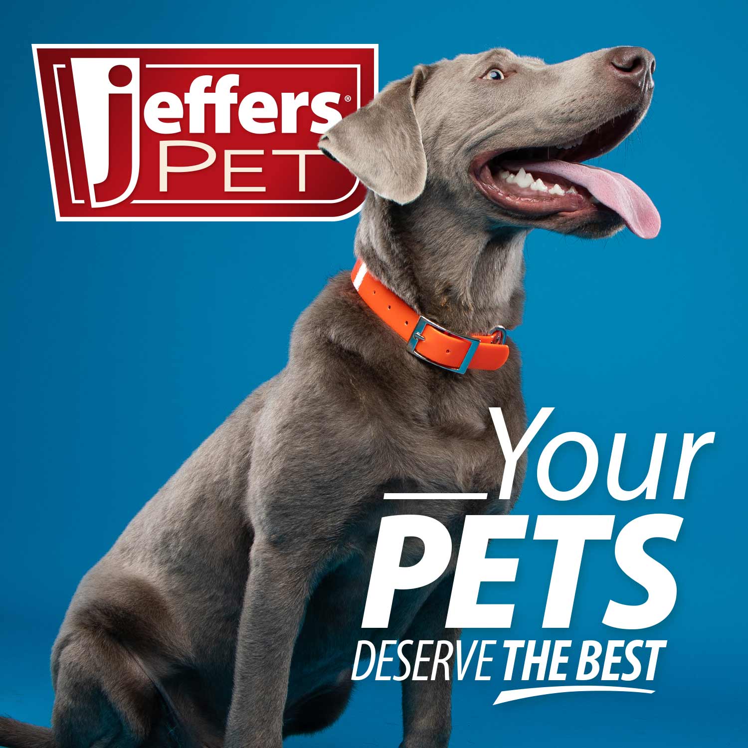 Jeffers Thinnies Unstuffed Plush Dog Toys