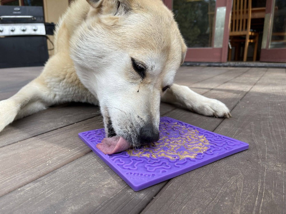 Bones eMat - Enrichment Lick Mat for Dogs and Cats | eMat Enrichment Toy for Anxiety Relief by SodaPup