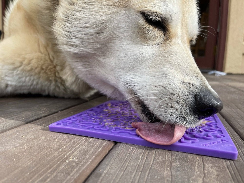 Bones eMat - Enrichment Lick Mat for Dogs and Cats | eMat Enrichment Toy for Anxiety Relief by SodaPup