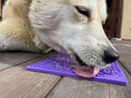 Bones eMat - Enrichment Lick Mat for Dogs and Cats | eMat Enrichment Toy for Anxiety Relief by SodaPup